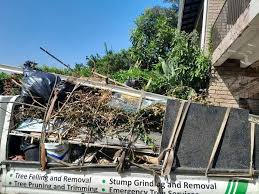 Best Electronics and E-Waste Disposal  in Elkins, AR